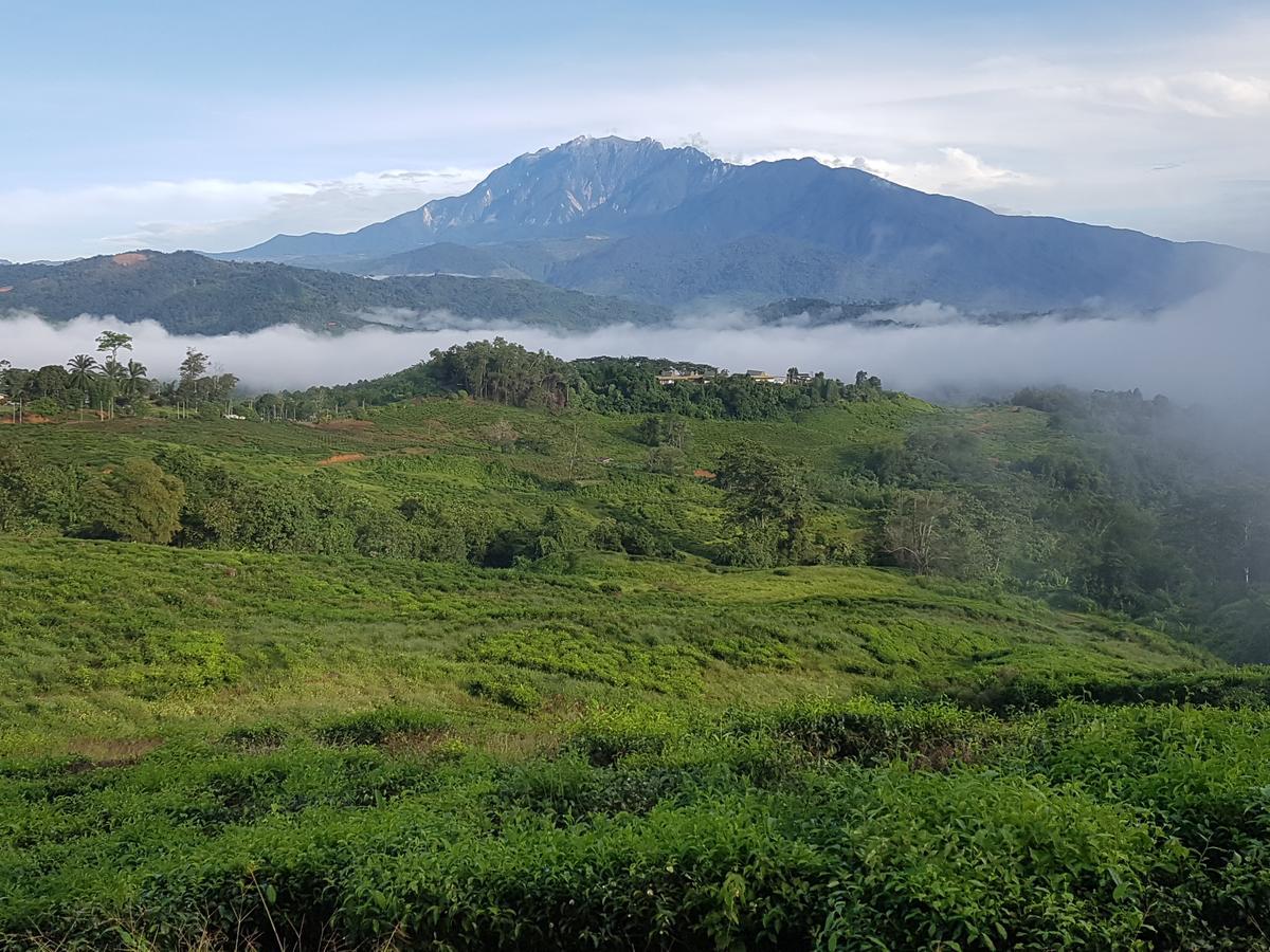 Sabah Tea Resort Ранау Екстер'єр фото
