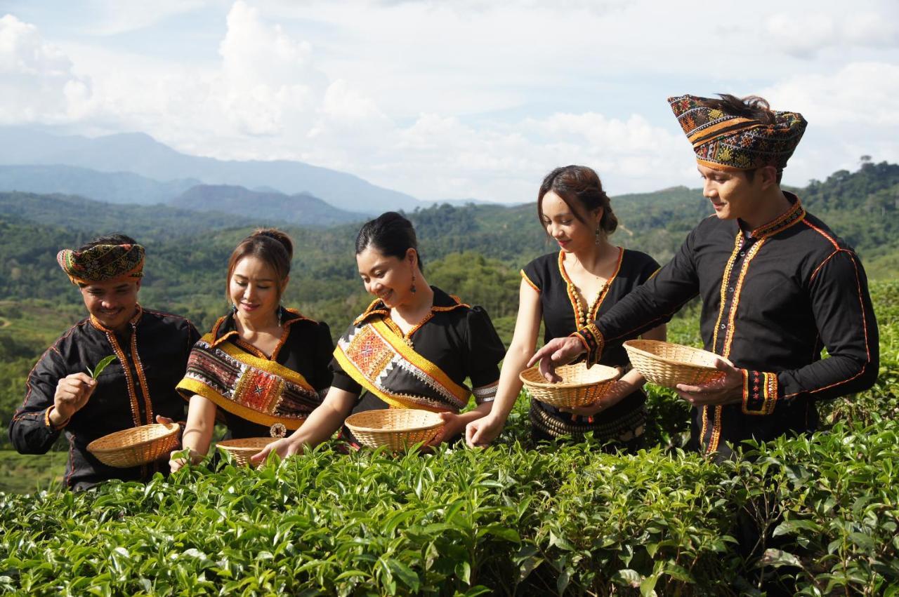 Sabah Tea Resort Ранау Екстер'єр фото