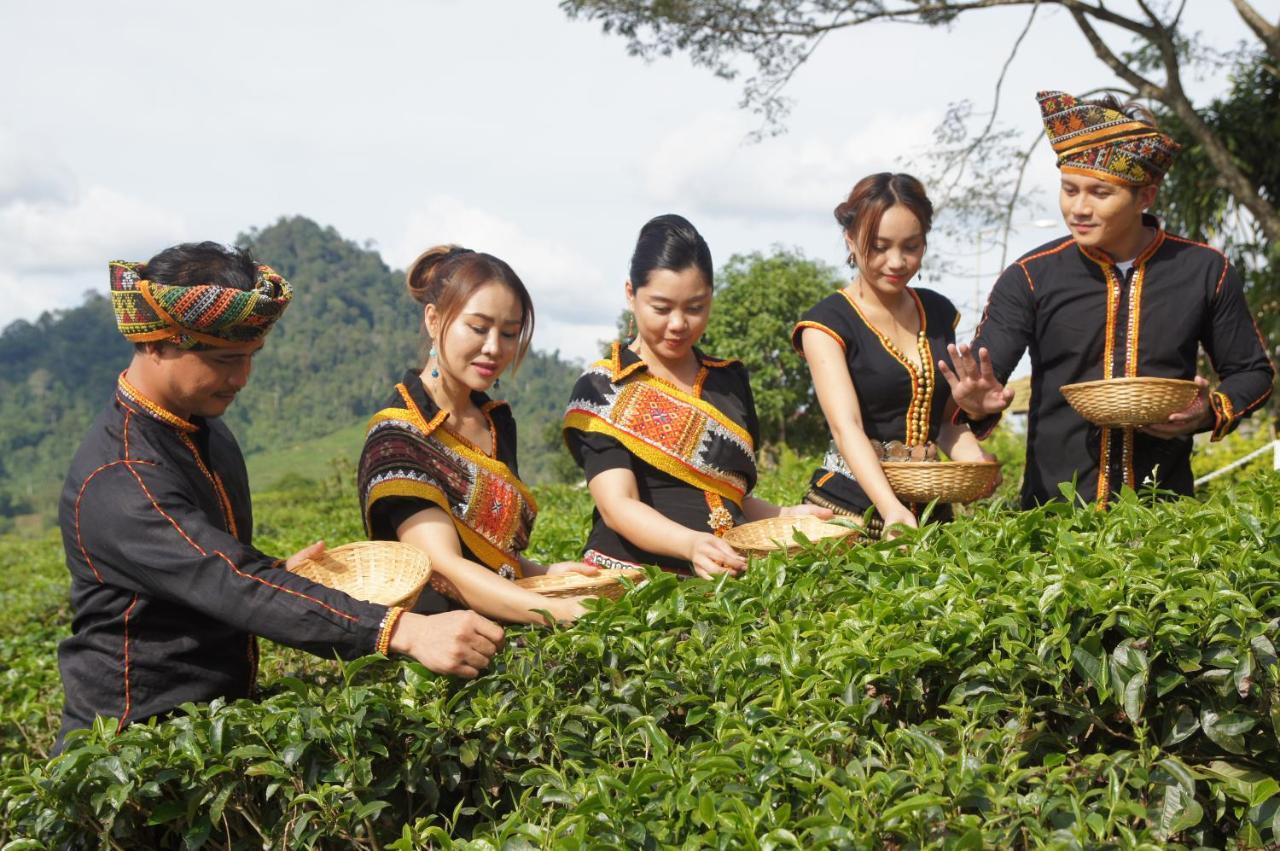 Sabah Tea Resort Ранау Екстер'єр фото